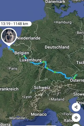 Wenn einige eine Reise tun, dann können sie was erzählen 01