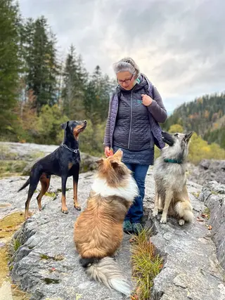 Checkliste für den entspannten Alltag mit Hund
