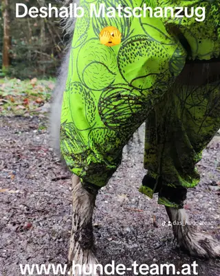 Der Herbst ist da - Regenkleidung auch für den Hund?