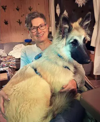 Schoßhund?