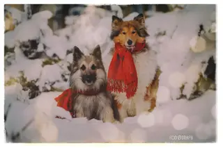 Winterwonderland - heute mal Fotos
